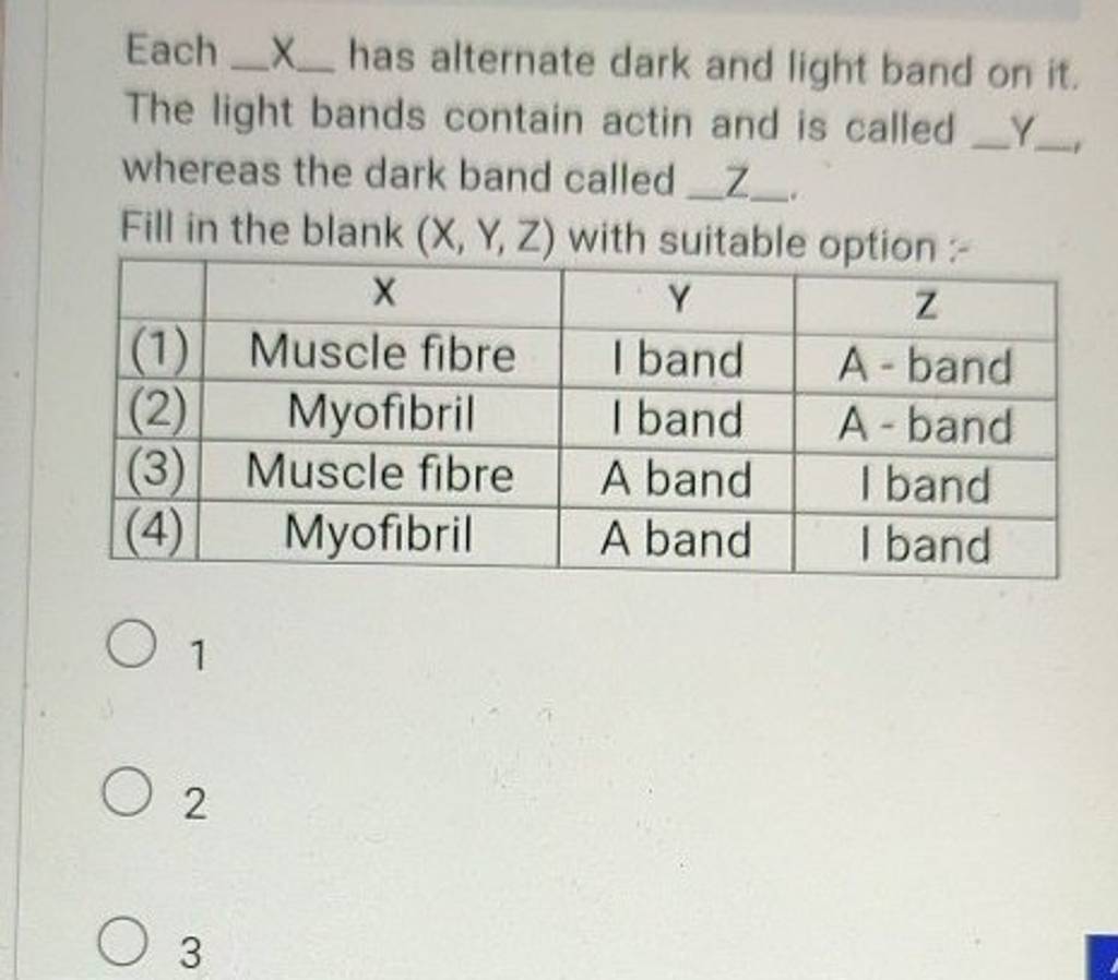 Each X _ has alternate dark and light band on it. The light bands contain..