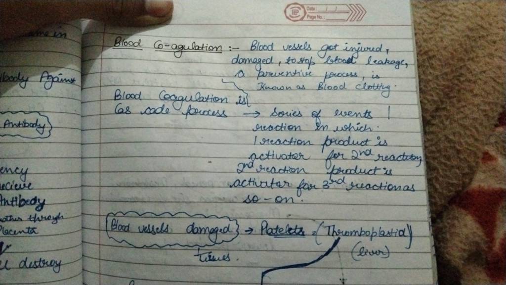 Blood Co-agulation:- Blood vessels got injured, damaged, to sop blool lea..