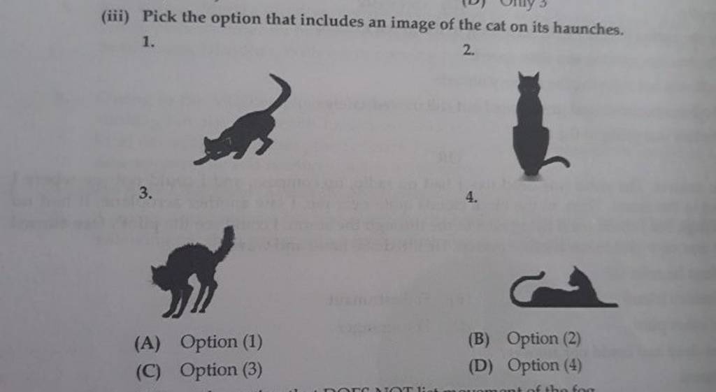 Pick the option that includes an image of the cat on its haunches. 1. 2...
