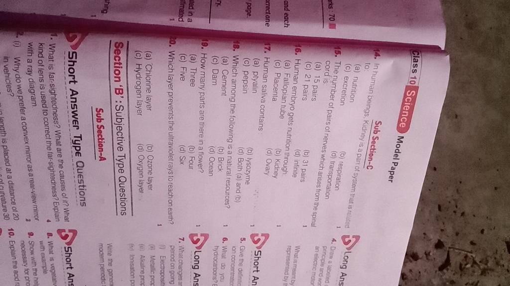 How many parts are there in a flower? Filo