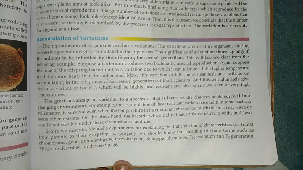 sugar cane plants almost look alike. But in animals (including hations in..