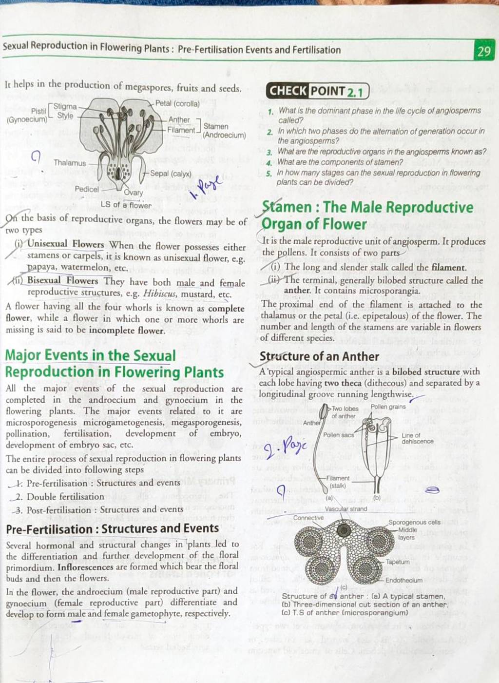 Sexual Reproduction In Flowering Plants Pre Fertilisation Events And Fer 6398