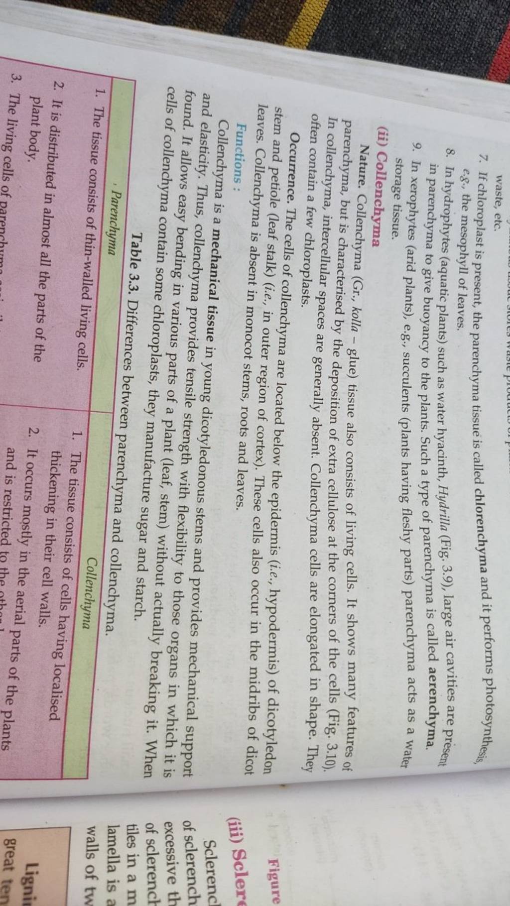 waste, etc. 7. If chloroplast is present, the parenchyma tissue is called..