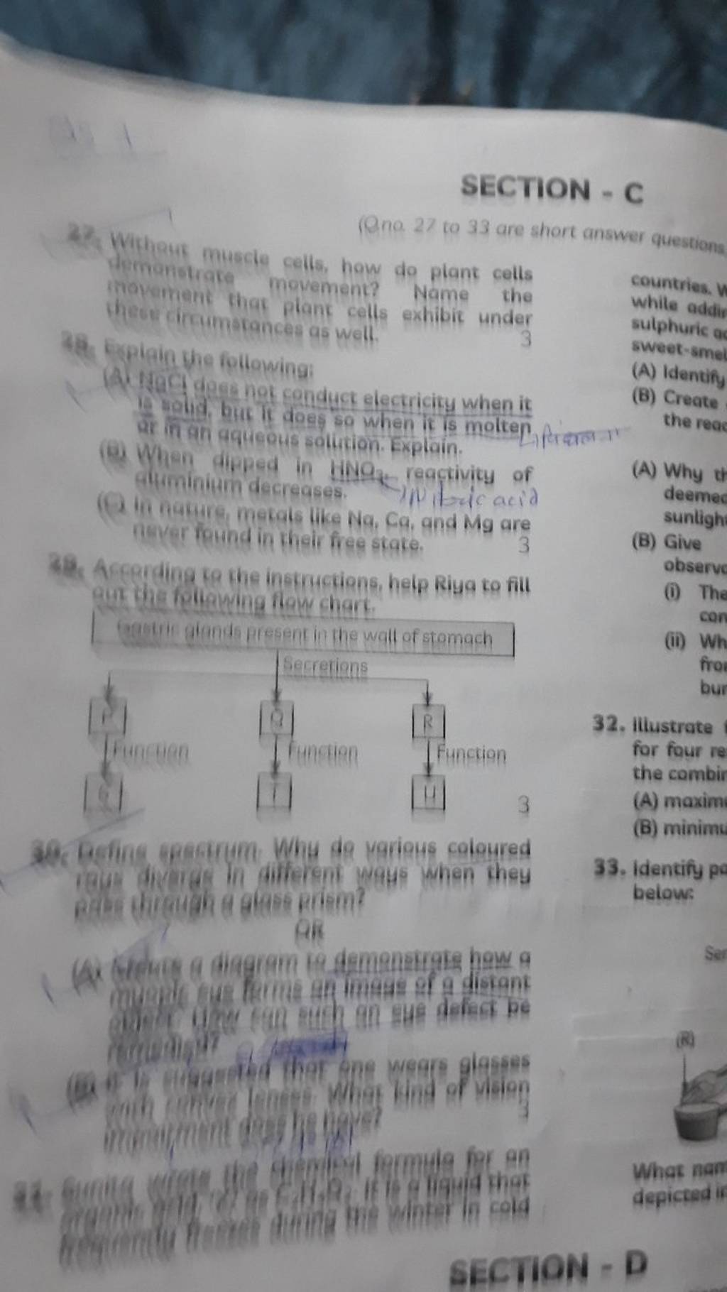 42 Without muscle cells, how do plant cells demonstrate movement? Name mo..