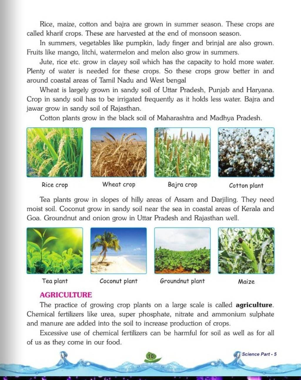 Rice, maize, cotton and bajra are grown in summer season. These crops are..