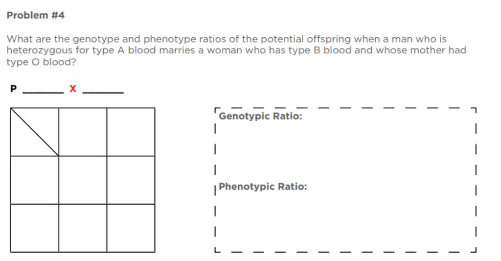 Problem \#4
What are the genotype and phenotype ratios of the potentia
