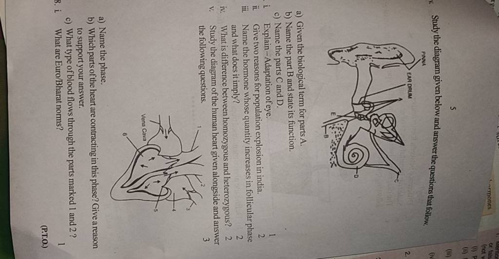 Study The Diagram Given Below And Answer The Questions That Follow. A) Gi..