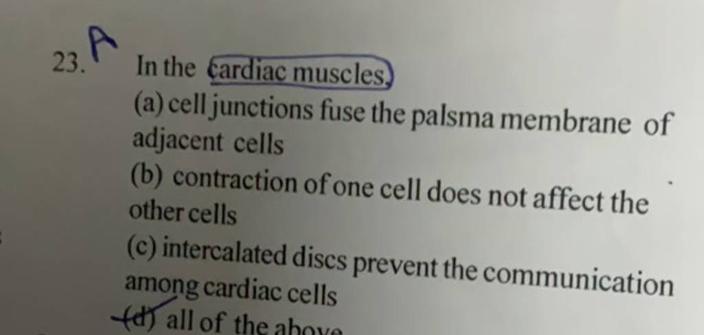 23. P In the cardiac muscles.
(a) cell junctions fuse the palsma membr