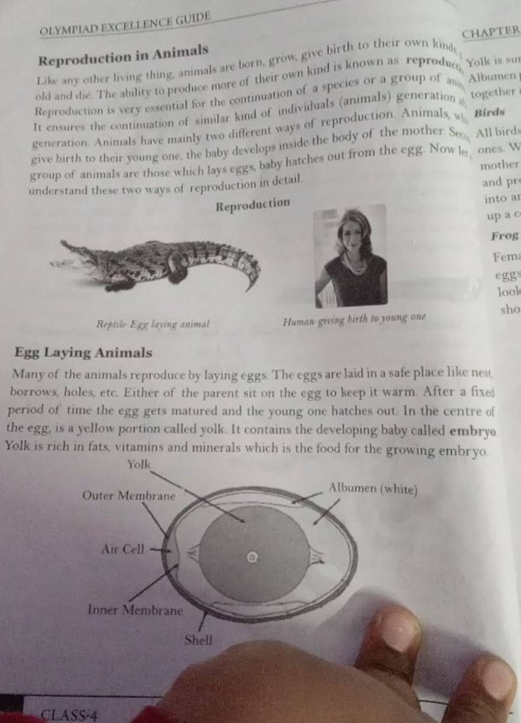 OLYMPIAD EXCELLIENCE GUIDE Reproduction in Animals Like any other living .. OLYMPIAD EXCELLIENCE GUIDE Reproduction in Animals Like any other living ..