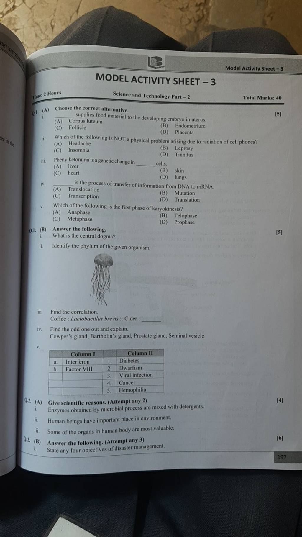 activity sheet 3 research guidelines answers