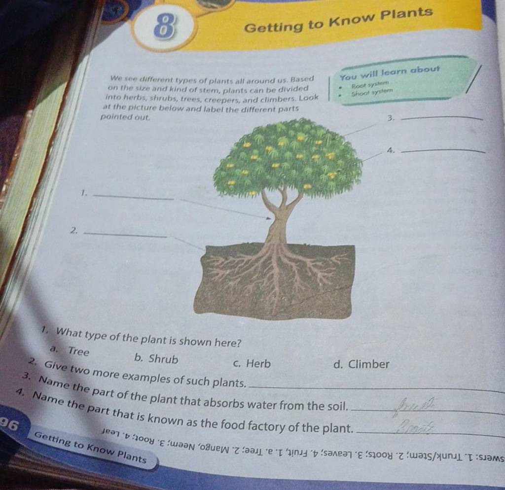 Getting to Know Plants We see different types of plants all around us, Ba..