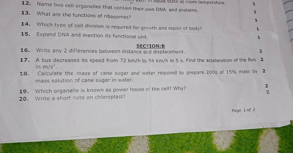 Name Two Cell Organelles