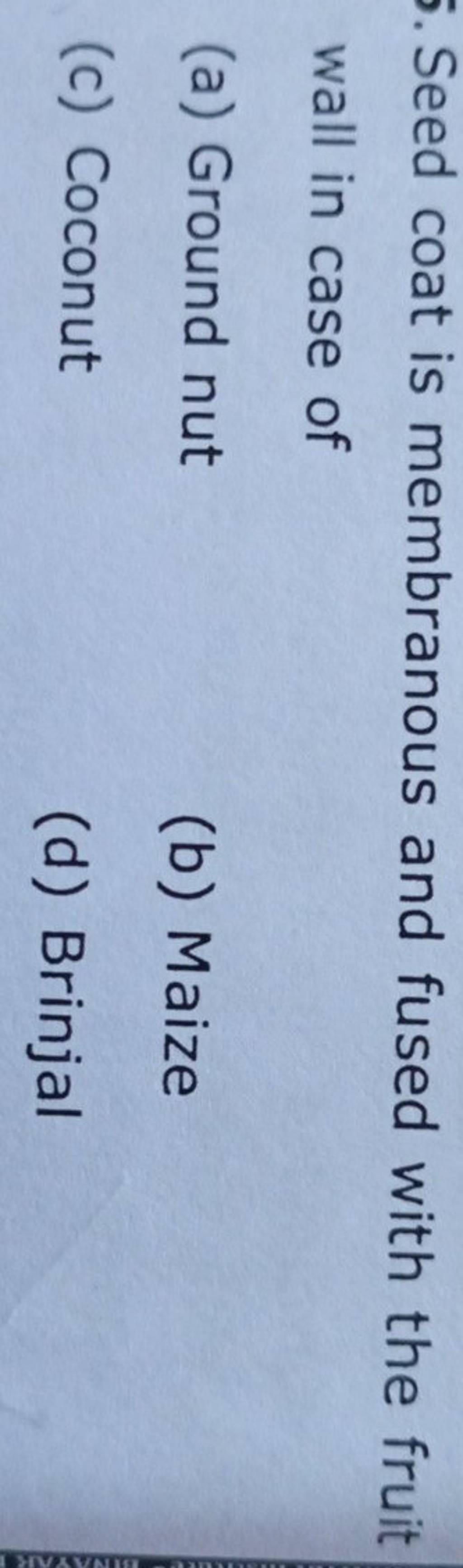 Seed coat is membranous and fused with the fruit wall in case of Filo