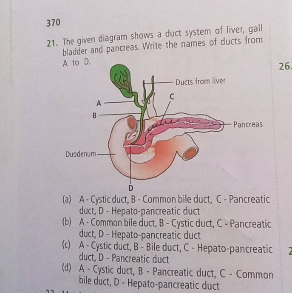 370 21. The given diagram shows a duct system of liver, gall bladder and