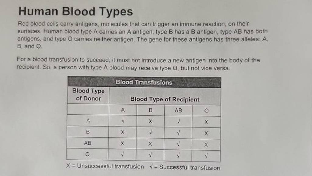 Human Blood Types
Red blood cells carry antigens, molecules that can t