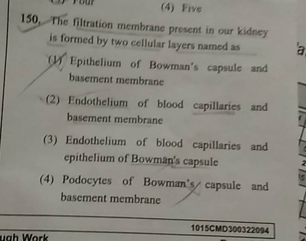 The filtration membrane present in our kidney is formed by two cellular l..