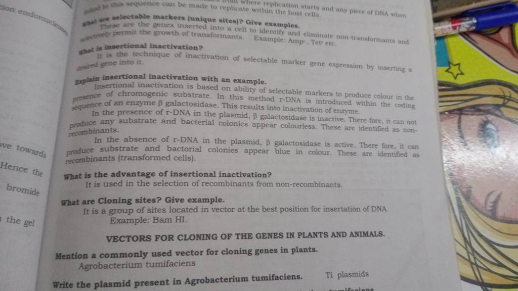 anak are selectable markers (unique sites)? Give examples. These are the