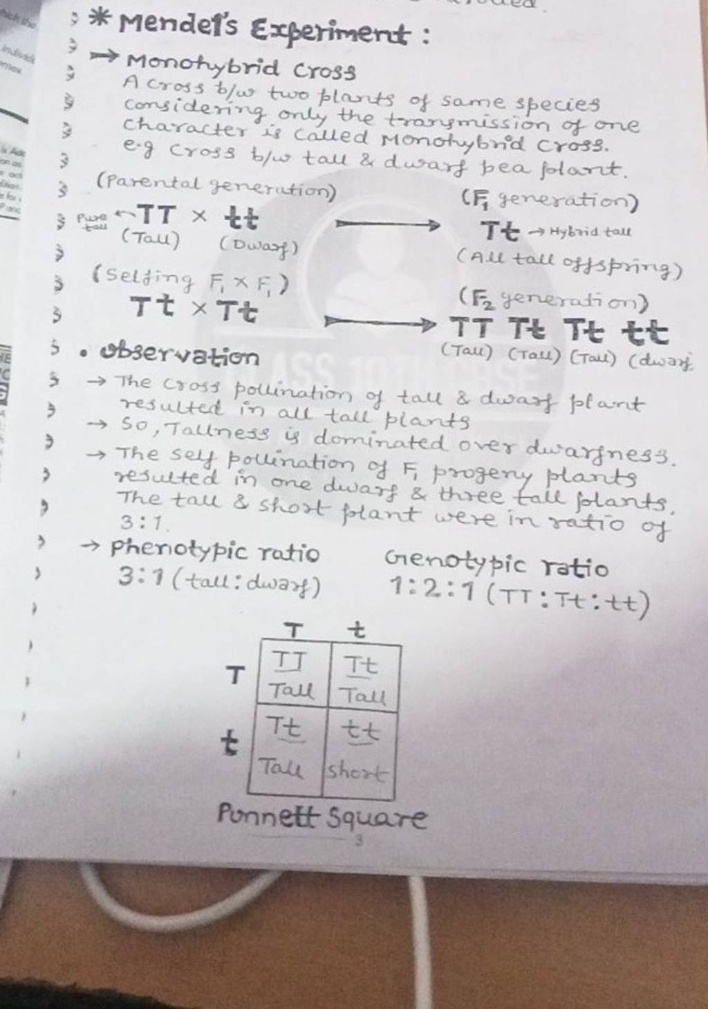 mendel's experiment of the monohybrid cross