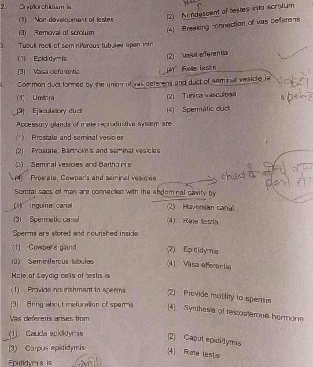 Accessory glands of male reproductive system are Filo