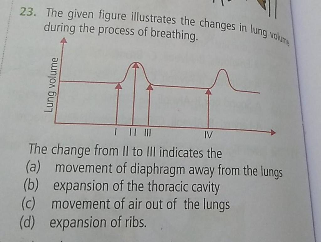 The given figure illustrates the changes in lung volum during the process..