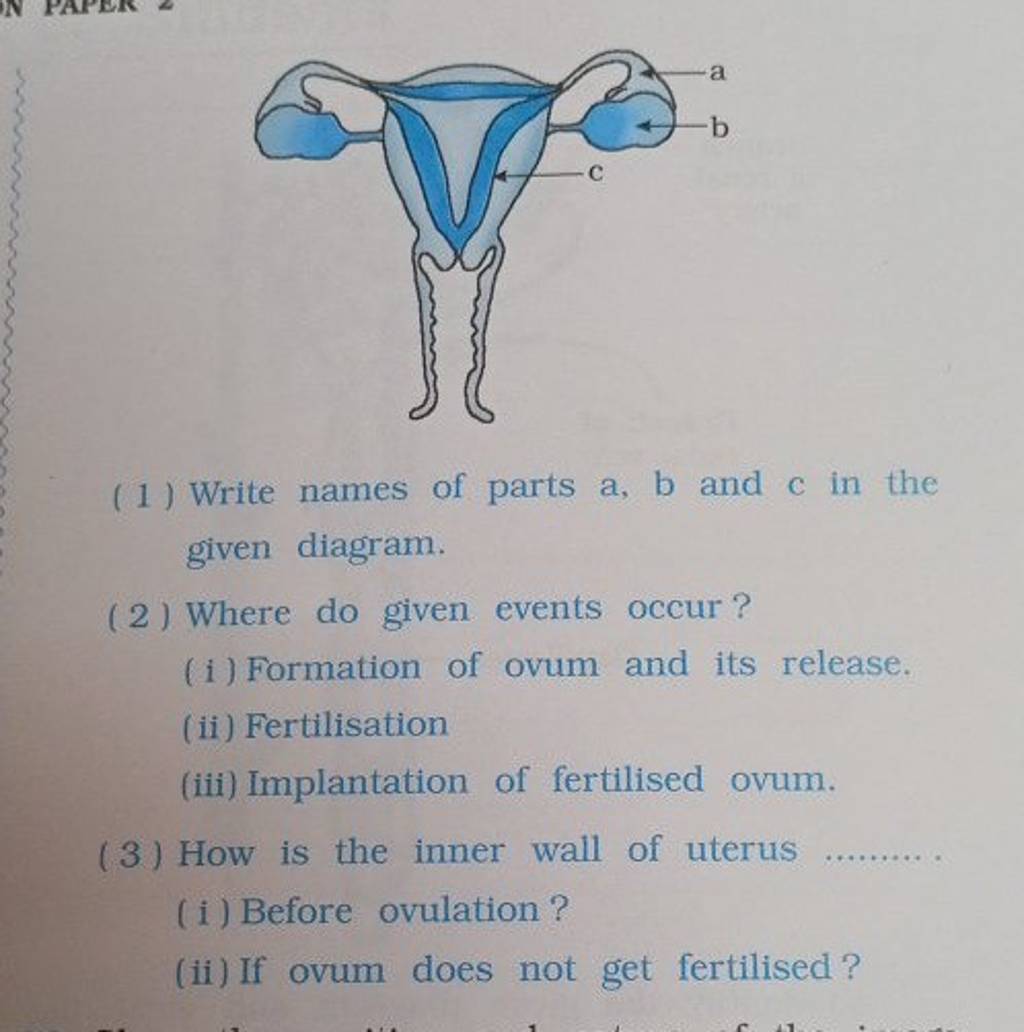 (1) Write names of parts a,b and c in the given diagram. (2) Where do giv..