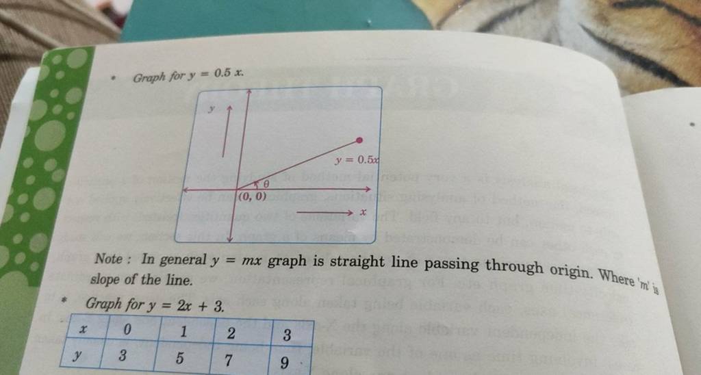 - Graph for y=0.5x. Note: In general y=mx graph is straight line passing