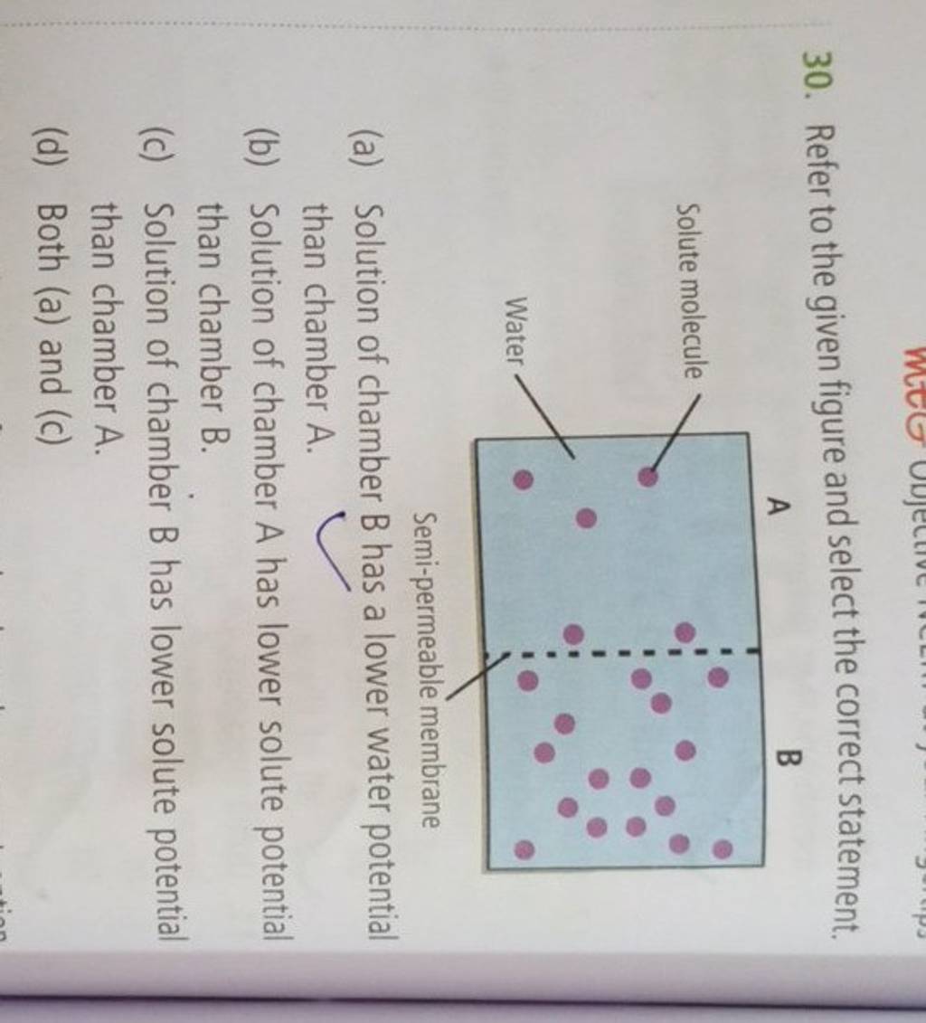 Refer To The Given Figure And Select The Correct Statement Semi Permeabl