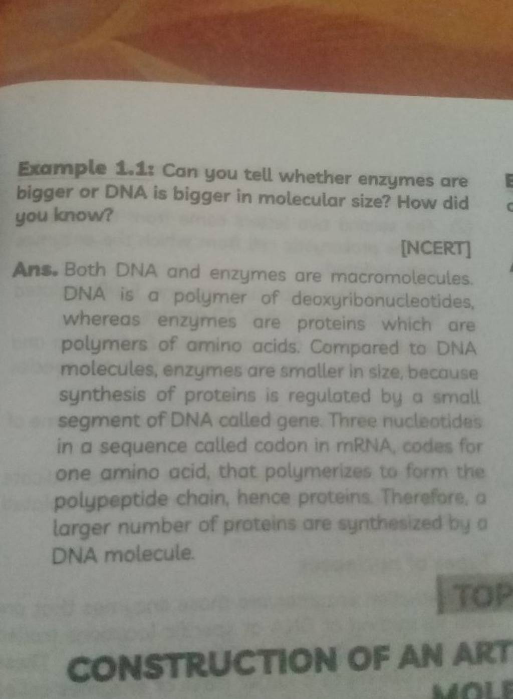 Example 1.1 Can you tell whether enzymes are bigger or DNA is bigger in