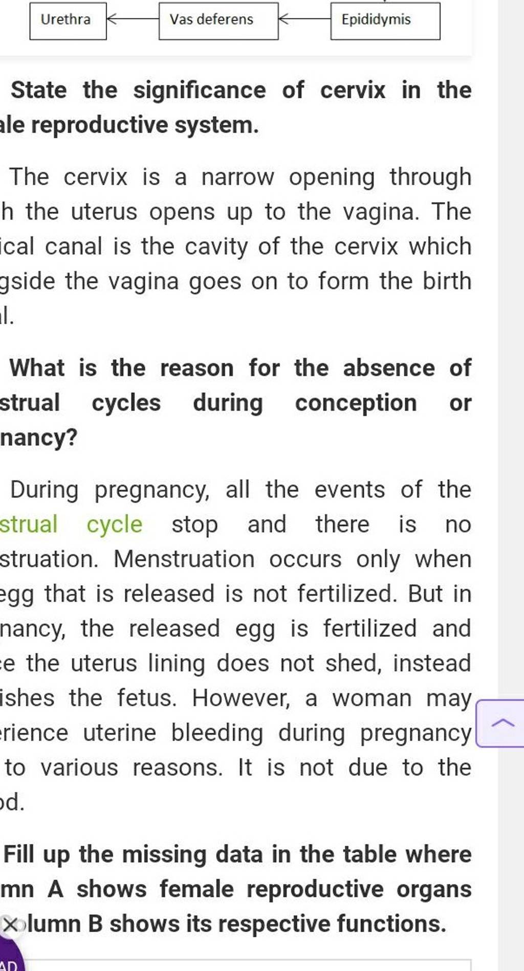 state-the-significance-of-cervix-in-the-ale-reproductive-system-filo