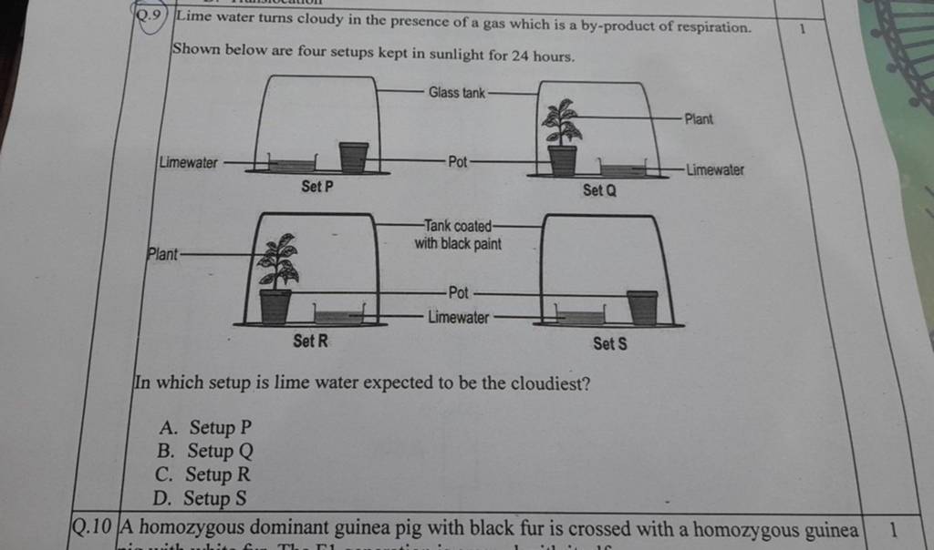 Q.9) Lime water turns cloudy in the presence of a gas which is a byprodu..