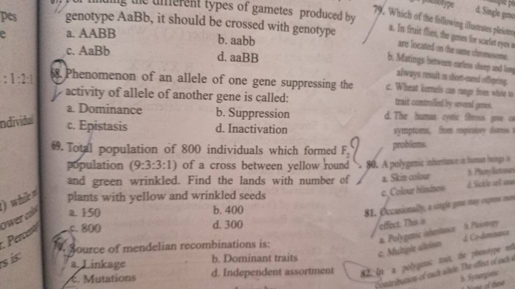 genotype AaBb, it should be crossed with ge otype