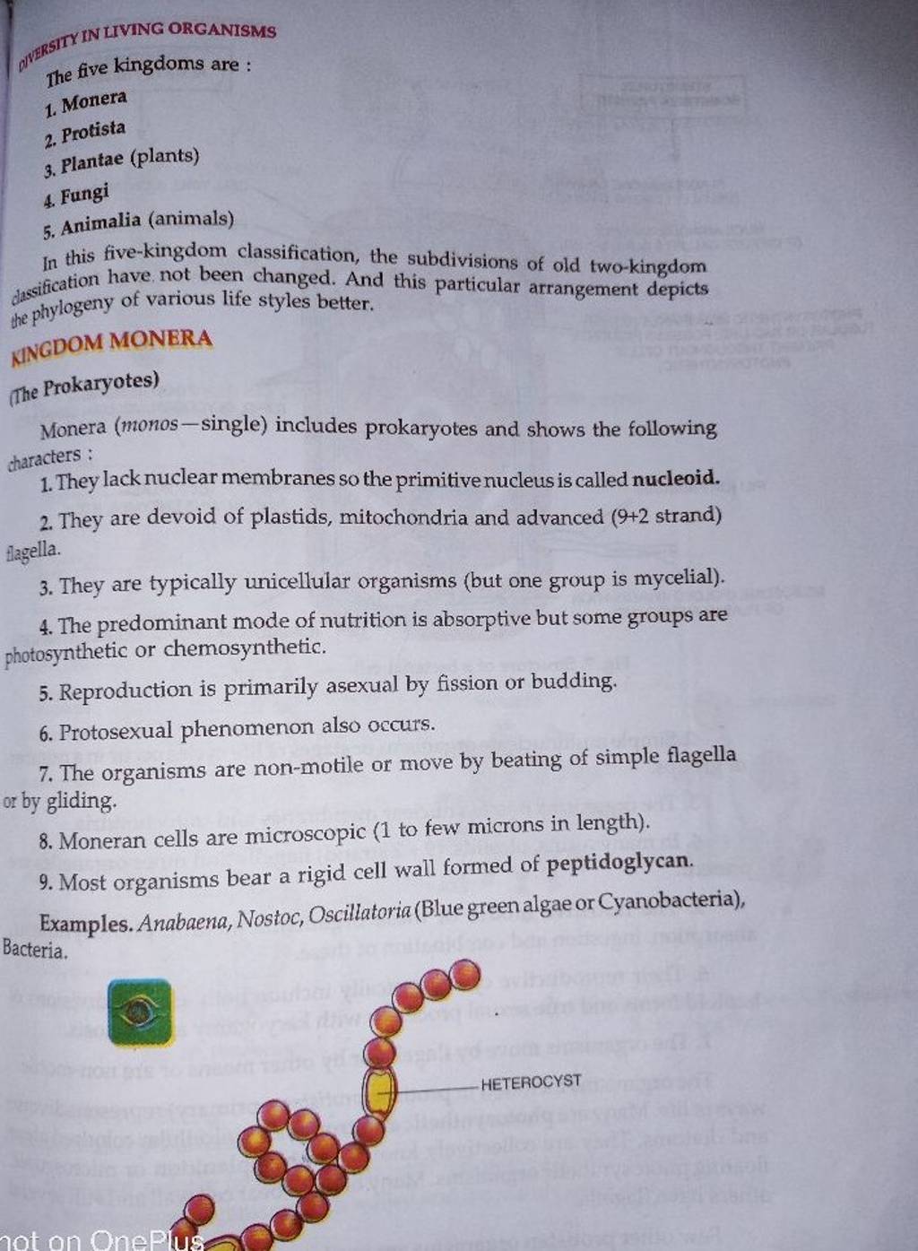 In this fivekingdom classification, the subdivisions of old twokingdom