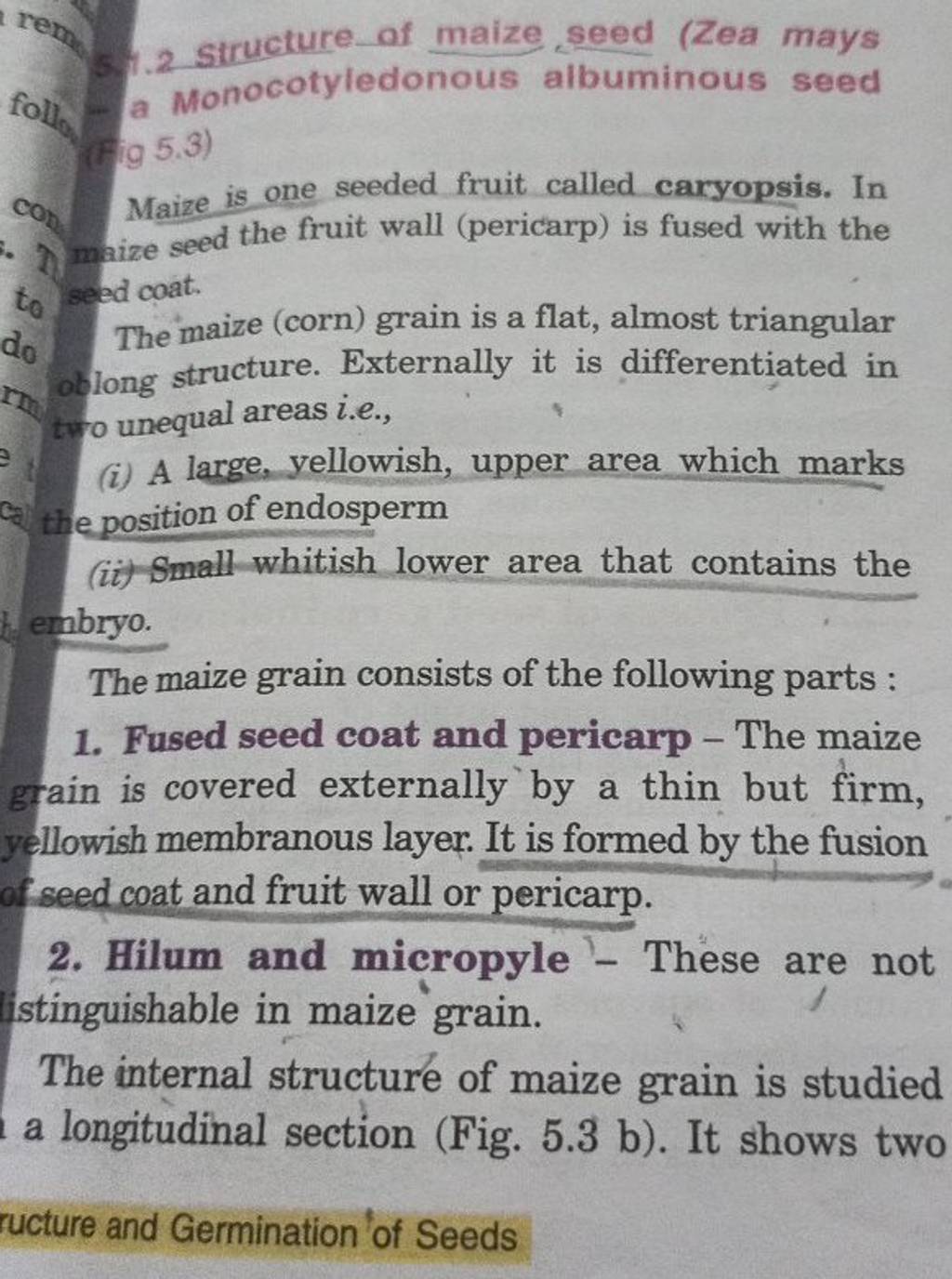 51.2 structure of maize seed (Zea mays a Monocotyledonous albuminous seed..