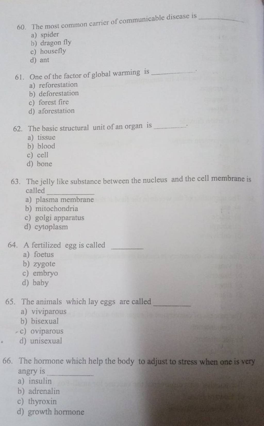 the-jelly-like-substance-between-the-nucleus-and-the-cell-membrane-is-cal