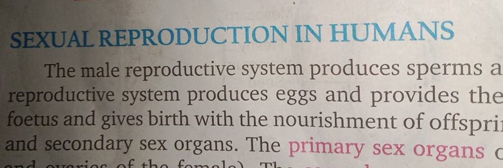 Sexual Reproduction In Humans The Male Reproductive System Produces Sperm