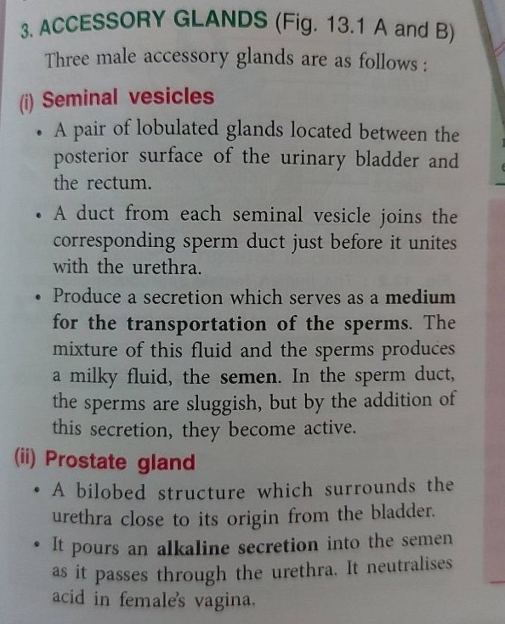3. ACCESSORY GLANDS (Fig. 13.1 A and B ) Three male accessory glands are