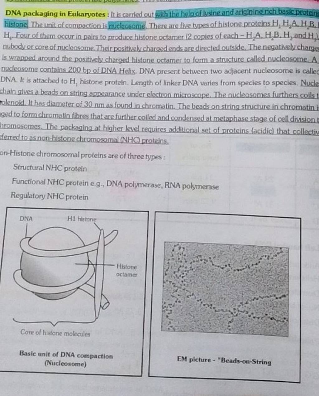 DNA packaging in Eukaryotes It is carred out with the helpof lusine and..