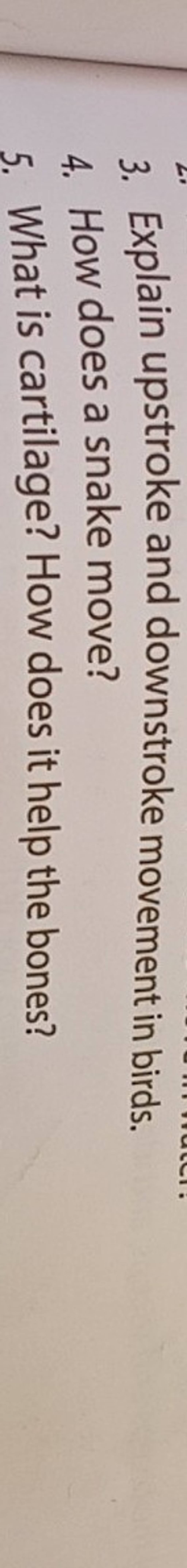 3-explain-upstroke-and-downstroke-movement-in-birds-4-how-does-a-snake