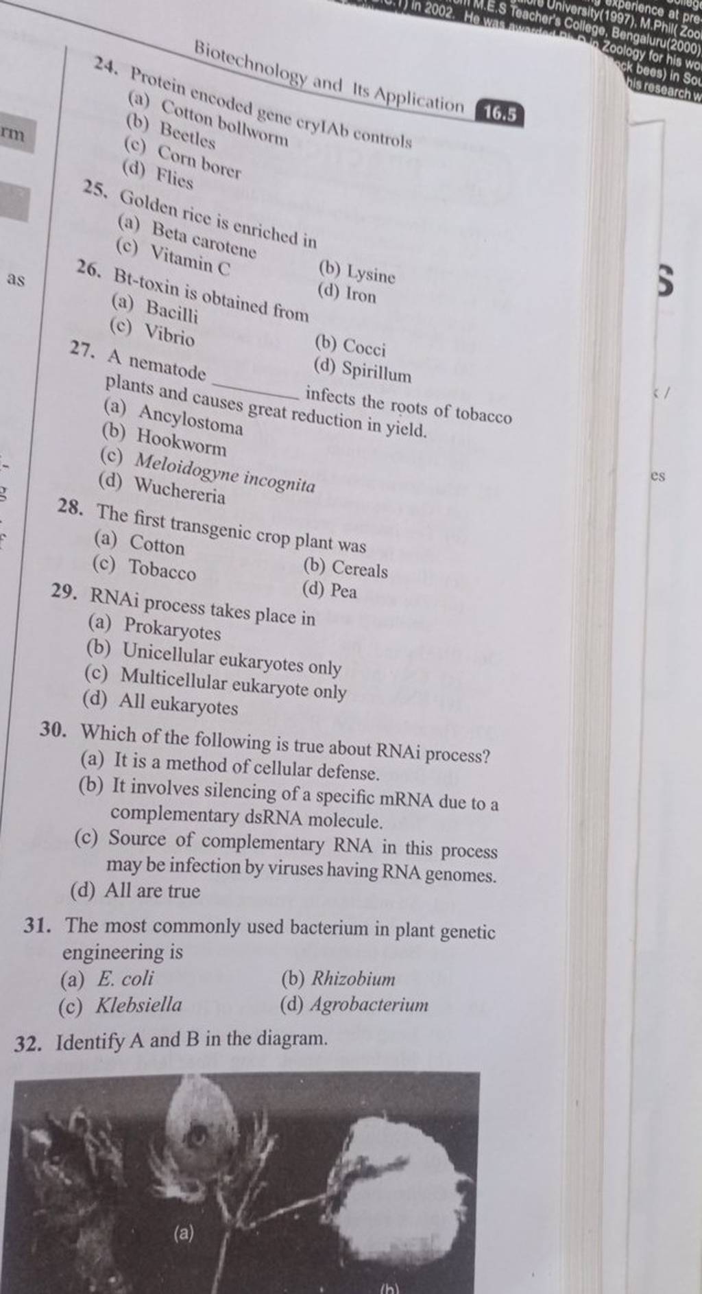 RNAi process takes place in (a) Prokaryotes Filo