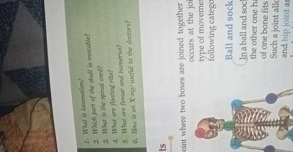 1-what-is-locomotion-2-which-part-of-the-skull-is-movable-3-what-is