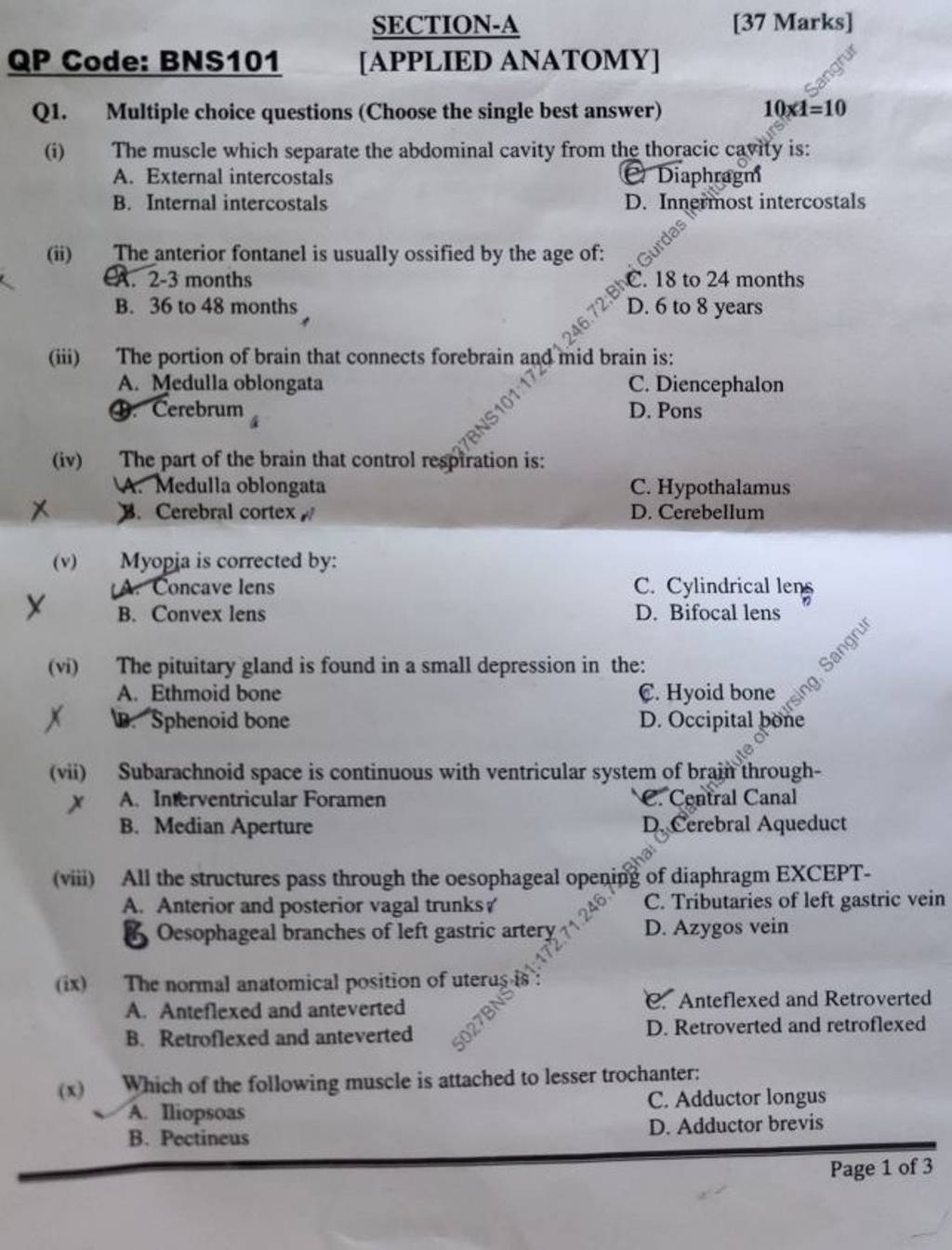 D3 Cerebral Aqueduct (viii) All The Structures Pass Through The Oesophag..