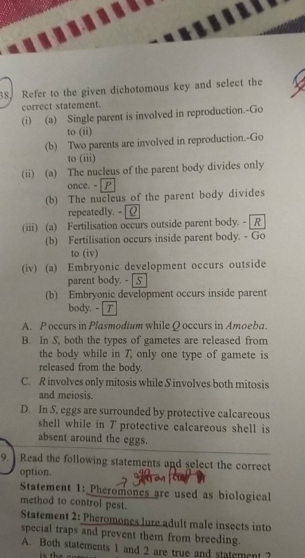 Refer To The Given Dichotomous Key And Select The Correct Statement I