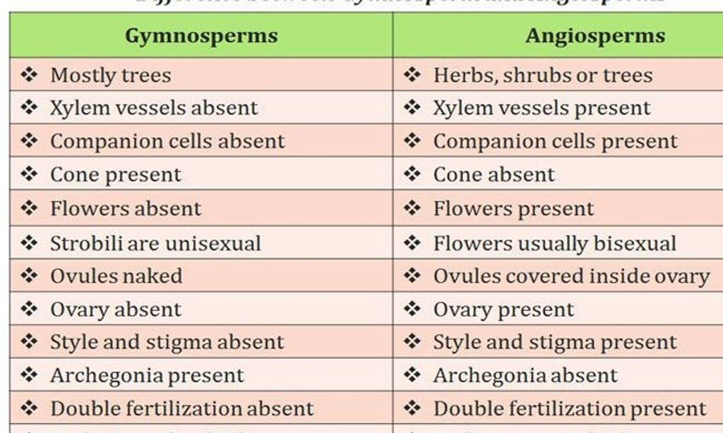 Gymnosperms Mostly trees Xylem vessels absent Companion cells absent Co..