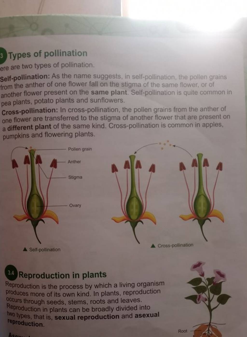 types-of-pollination-ere-are-two-types-of-pollination-self-pollination