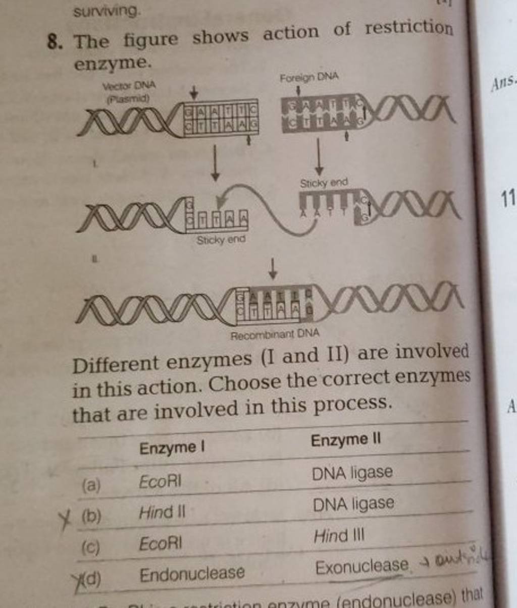 Surviving 8 The Figure Shows Action Of Restriction Enzyme Different E