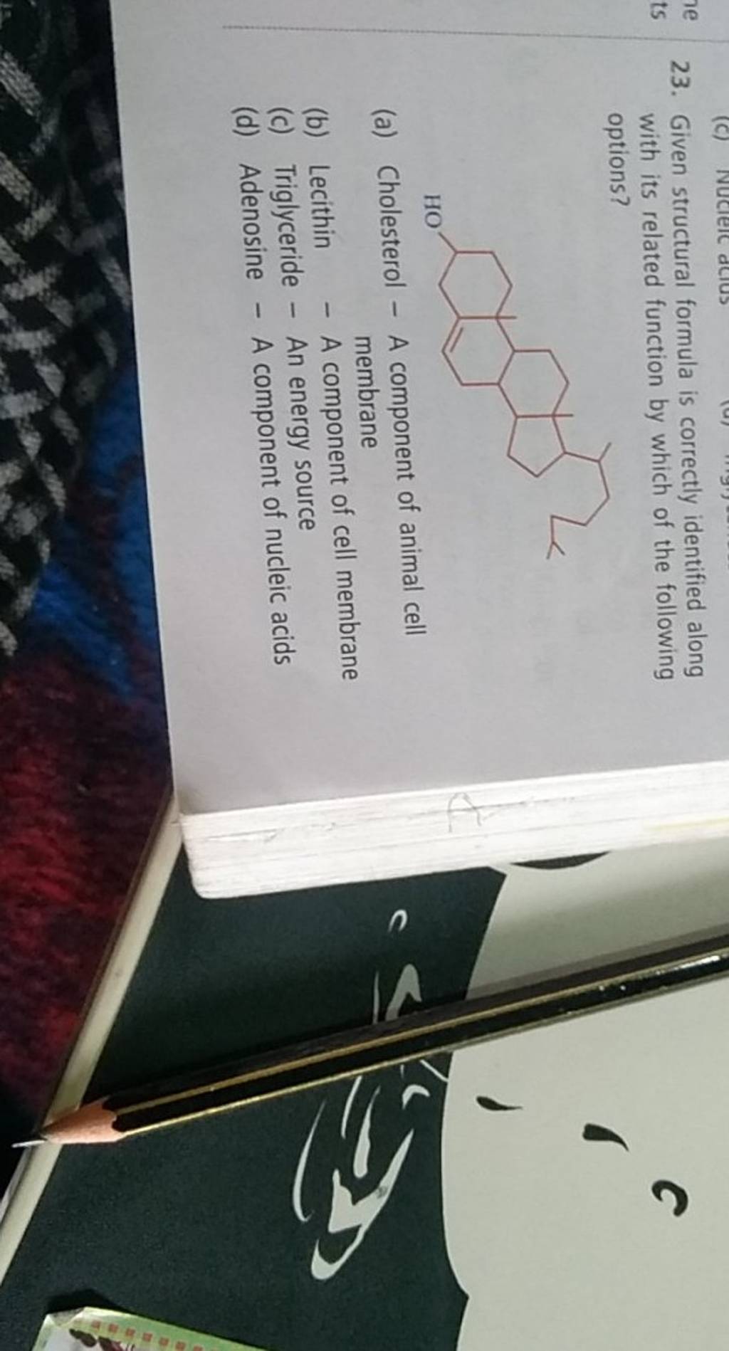 given-structural-formula-is-correctly-identified-along-with-its-related-f