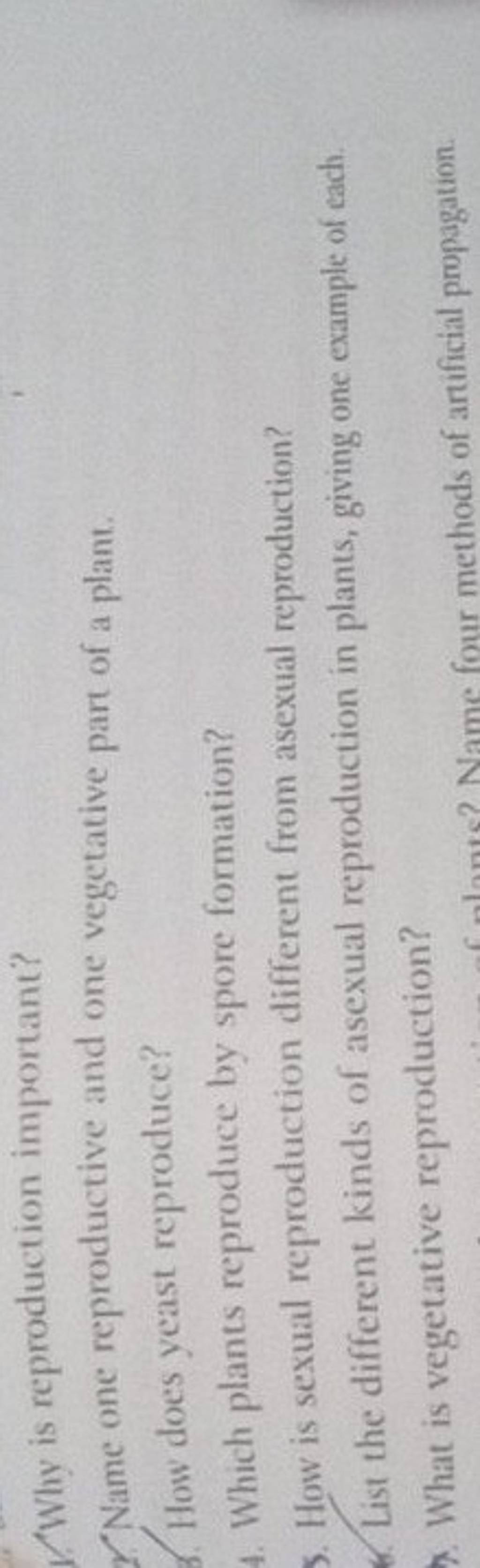 Why Is Reproduction Important Name One Reproductive And One Vegetative P 