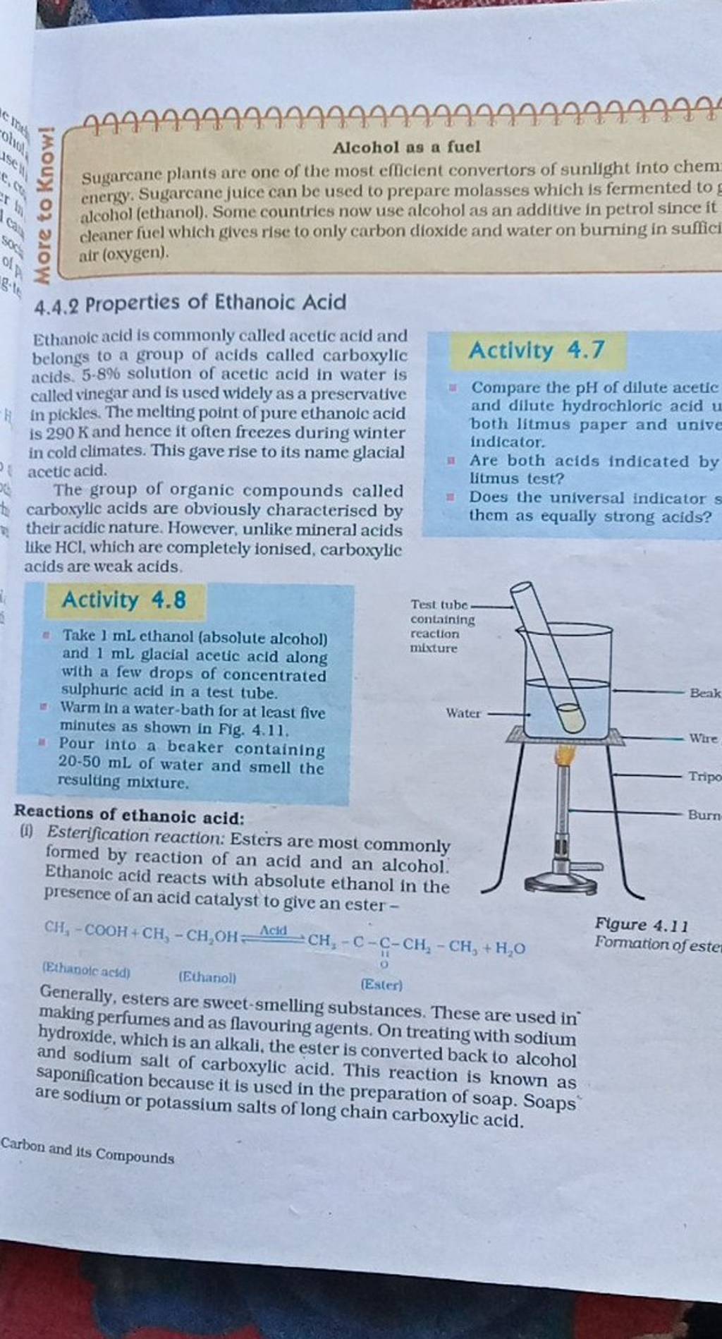 Alcohol as a fuel Sugarcane plants are one of the most efficient converto..