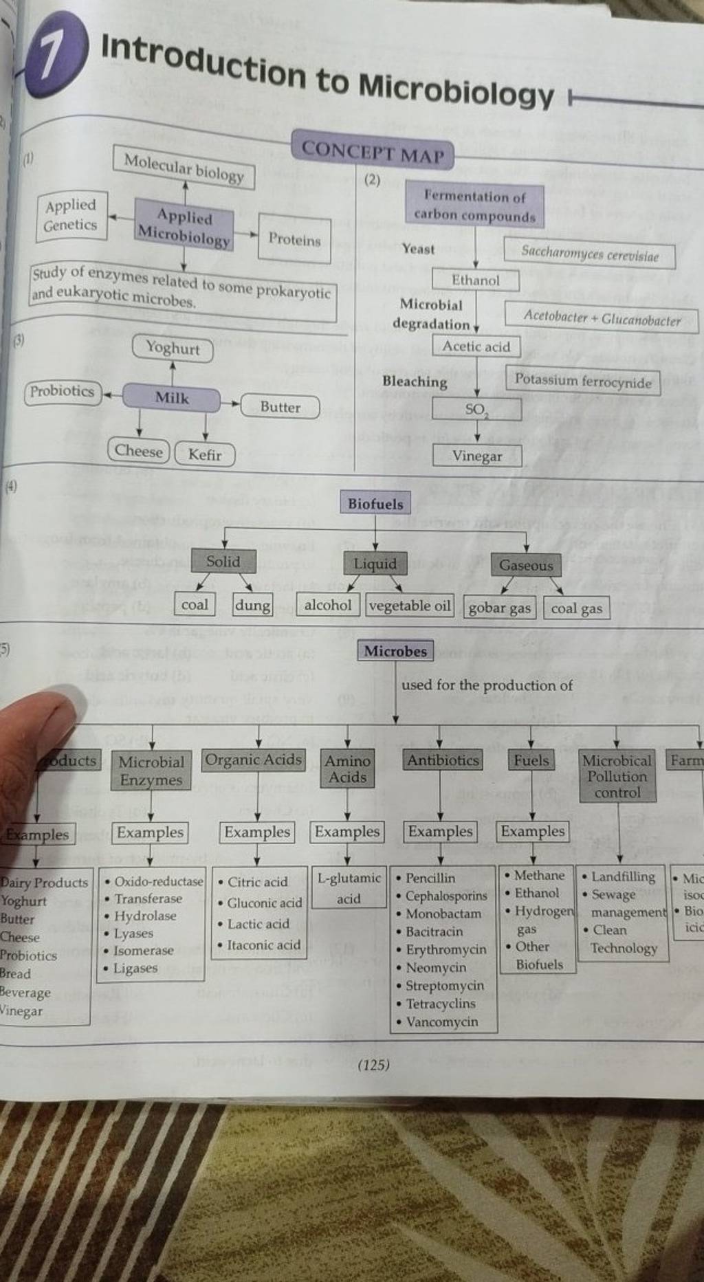 Introduction to Microbiology CONCEPT MAP (i) (2) Fermentation of Study of..