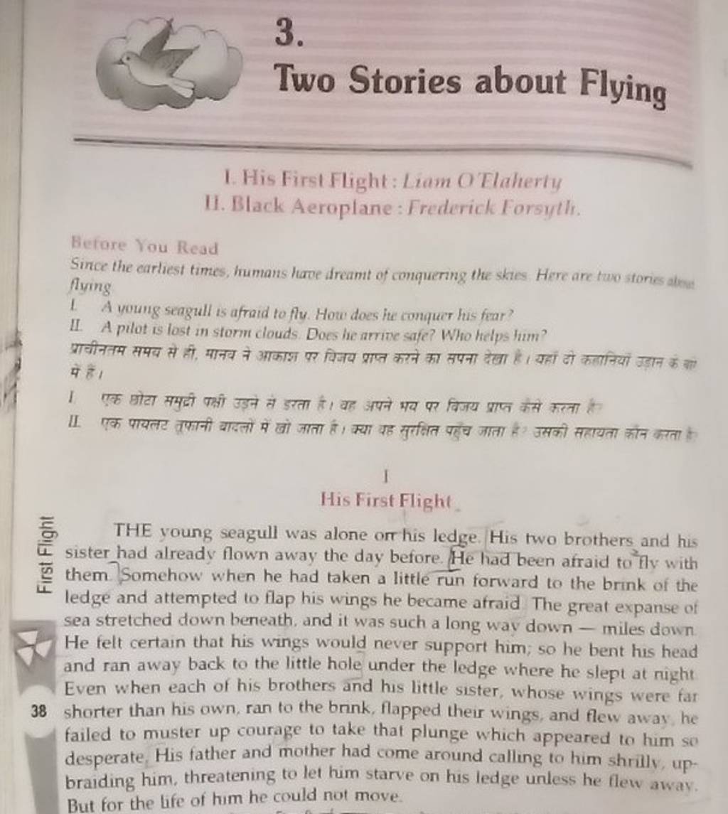 3 Two Stories About Flying 1 His First Flight Liam O Tlaherty Ii Blac 5679